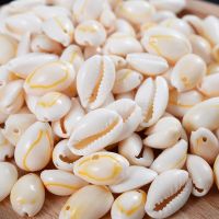 ✷✆✢ White Oval Natural Shell Conch Beads 20mm Cowry Cowrie Tribal Loose Spacer Beads For Jewelry Making Bracelet Crafts Accessories