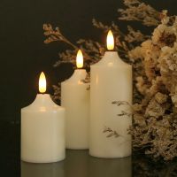 Set of 3 Flameless Candles Realistic LED Flames Tealight with/without Remote Control Timer Tea Light Candle Lamp for Home Decor