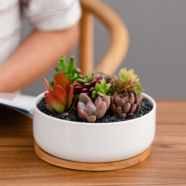creative-round-rectangular-flower-pot-home-decoration-green-plants-bonsai-white-porcelain-planter-succulent-flowerpots-ornament