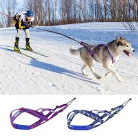 Dog Sledding Harness Durable Pet Weight Pulling Harnesses Reflective Training Vest Adjustable For Medium Large Dogs Skijoring Collars