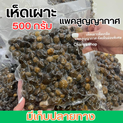 เห็ดเผาะ คัดอ่อน ต้มแล้ว แพคสูญญากาศ 500 กรัม