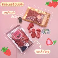 ? สตอเบอรี่อบแห้ง ? สตอเบอรี่ ฟรีซดราย สำหรับ ชูการ์ไกรเดอร์ ชูก้า แฮมสเตอร์ แกสบี้ บุชเบบี้ สัตว์เลี้ยง