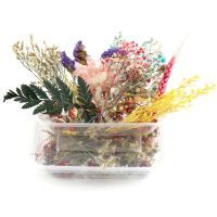 Boxed Dried Flower DIY Accessories Dry Aromatherapy Candle Epoxy Resin Pendant Necklace Jewelry Making Craft