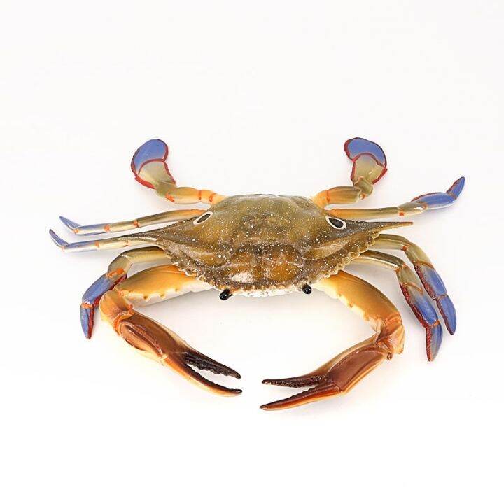 childrens-simulation-model-of-marine-animal-toy-giant-swimming-crab-red-crab-three-eyed-crab-crab