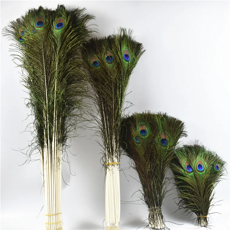 10pcs Realistic Peacock Feathers For Home Decoration, Flower Arrangement  Diy Crafts, Party Background Props