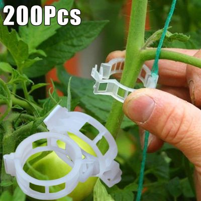 200/50ชิ้นคลิปสำหรับสวนมะเขือเทศพืชผักองุ่นและองุ่นแบบตั้งตรงใช้ซ้ำได้แท่นวางกล้องพืชอุปกรณ์สวน