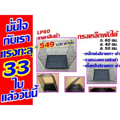 ขายทิ้ง เหลือ 449 บาท LP60 กรงเหล็กพับได้604250  กรงหมา กรงแมว กรงกระต่าย กรงหนู กรงนก กรงสุนัข กรง กรงพับได้ กรงพับ บริการเก็บเงินปลายทาง สำหรับคุณ