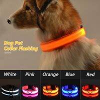 ☎☈☏ USB Charging Led Dog Glowing Collar Adjustable Anti-Lost/Avoid Car Accident Night Light Pet Collar For Dogs Safety Supplies