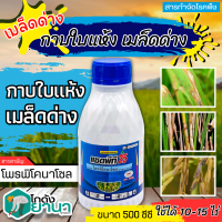 ? แซดพีที25 (โพรพิโคลนาโซล) ขนาด 500ซีซี ป้องกันเชื้อรา เมล็ดด่าง แอนแทรคโนส