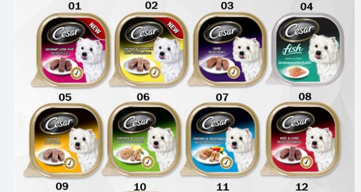 42pets-cesar-100g-ซีซาร์-อาหารสุนัขเปียก-แบบถาด-ขนาด-100-กรัม-อาหารถาด-อาหารสุนัข-อาหารหมา