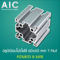 Aluminum Profile อลูมิเนียมโปรไฟล์ 60x60 มม. T-Nut 2-Slot ความยาว 300-1000 มม. AIC ผู้นำด้านอุปกรณ์ทางวิศวกรรม