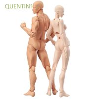 QUENTIN1 Manga artists Figure Comic Human Mannequin Figures Man and Woman Artists Figurine Postures Anime Model/Multicolor