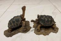 โมเดลเรซิ่น Lonesome George Set 20cm