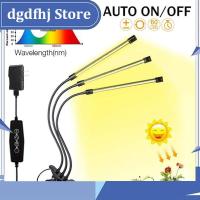 Dgdfhj Shop 3 Head Clip USB Grow Light Timer LED Fitolamp indoor 5V Full Spectrum Phyto DC Plant lamp desk sunlight Lamp Flexible Dimmable