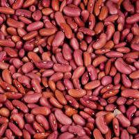 Rajma Red (Kidney Beans) 500g ถั่วไต