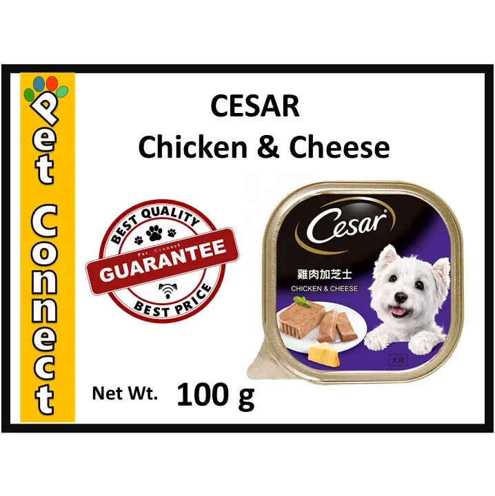 CESAR Wet Dog Food CHICKEN & CHEESE 100g Lazada PH