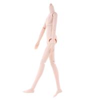 1/6 Bjd Nude Male Doll Body Ball-Jointed Doll Parts 27cm