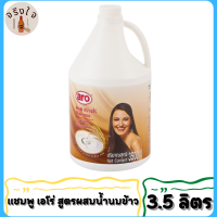 aro Shampoo เอโร่ แชมพู สระผม สูตรผสมน้ำนมข้าว แบบแกลลอน 3500 มล.