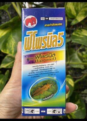 ฟิโพรนิล 5% W/V SC (fipronil) 100ml น้ำยากำจัดปลวก และป้องกันและกำจัดเพลี้ยและหนอน