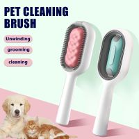 Cat Dog Double Sided Hair Removal Brushes Upgraded Pet Brush With Water Tank for Pet Cleaning Deshedding Massage Grooming