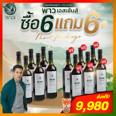 ของแท้ส่งฟรี! POW พลูคาวสกัด โปรโมชั่น (ซื้อ 6 แถม 6) POW พาวโฉมใหม่ พาวน้ำสมุนไพรพลูคาวสกัดเข้มข้น