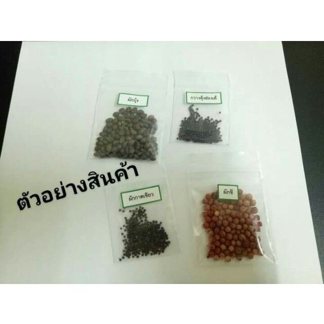 ชุดเมล็ดผักสุดคุ้ม-ซื้อ-1-ได้ถึง-19