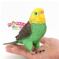 Monkey Toys - โมเดลสัตว์ Budgerigar นกหงษ์หยก เขียว ขนาด 18.00 CM (จากหาดใหญ่)