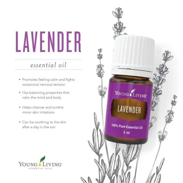 Young Living Lavender Essential Oil 15 mL, Purple