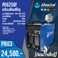 ตู้เชื่อม เครื่องเชื่อมซีโอทู UMINI MIG 250F