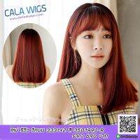 Cala wigs วิกผม รหัสทรง3331+2 สี#350199J-R สีสวยค่ะ งานหนาใสดีค่ะ  ส่งในไทย