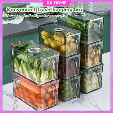 veggie fridge container - Buy veggie fridge container at Best Price in  Malaysia