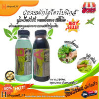 ปุ๋ยไฮโดรโปนิกส์ ปุ๋ยผักสลัด 250ml ปุ๋ยไฮโดรโปนิกส์น้ํานิ่ง ปุ๋ยผักHydroponics ปุ๋ยสารละลายเอบี