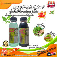 ปุ๋ยไฮโดรโปนิกส์ ปุ๋ยผักสลัด 250ml ปุ๋ยไฮโดรโปนิกส์น้ํานิ่ง ปุ๋ยผักHydroponics ปุ๋ยสารละลายเอบี