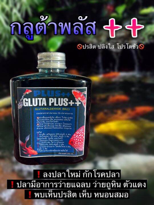 glutaraldehyde-bkc-ยาปลา-กำจัดปรสิต-แบคทuเรีย-ปลาคาร์ฟและสัตว์น้ำ-บรรจุ-250-ml