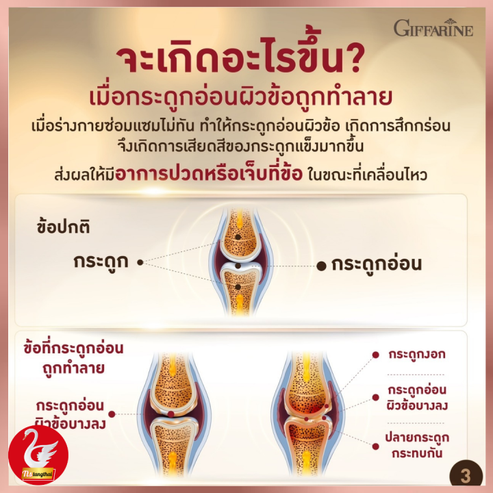 กิฟฟารีน-ส่งฟรี-คอลลาเจนผิวขาว-คอลลาเจนกระดูก-คอลลาเจน-แมกซ์-ช่วยเพิ่มคอลลาเจน-คอลลาเจนแท้จากปลา-giffarine-collagen-max-คอลลาเจนแท้