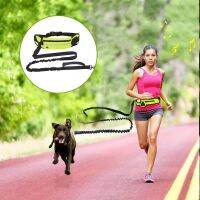 Hands Free Dog Leash with Waist Bag Outdoor Running Walking Reflective Pet Leash Elastic Belt Dog Traction Rope Pet Products