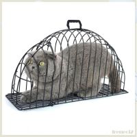 [Freneci2] กล่องไดร์เป่าขน สําหรับสัตว์เลี้ยง สุนัข แมว