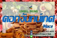 ดอกจันทน์เทศ  (premium) ยี่ห้อ อัมเบล ไพร์ม ขนาด 100 กรัม