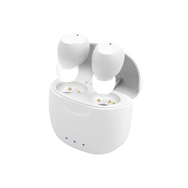 zzooi-hearing-aid-rechargeable-digital-6-channel-automatic-switch-multi-program-sound-amplifier-invisible-hearing-aids-for-deafness