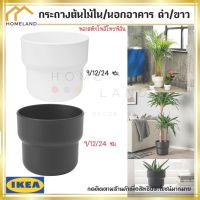 พร้อมส่งIKEA อิเกีย ของแท้ FÖRENLIG เฟอเรียนลิก กระถางต้นไม้, กระถาง ใน/นอกอาคาร ขาว,ดำ 9/12/24 ซม.