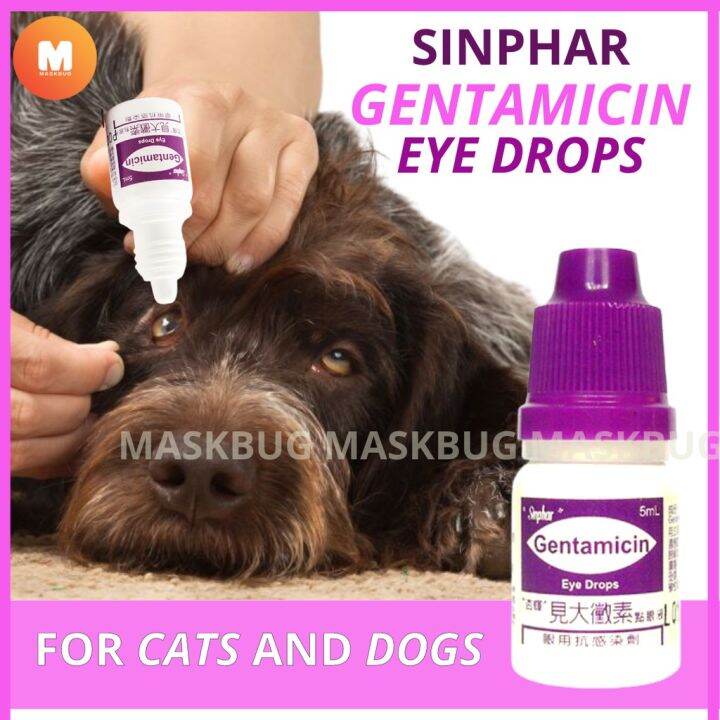 MASKBUG 1 SINPHAR GENTAMICIN Eye Drops for Pet Prevent Irritation