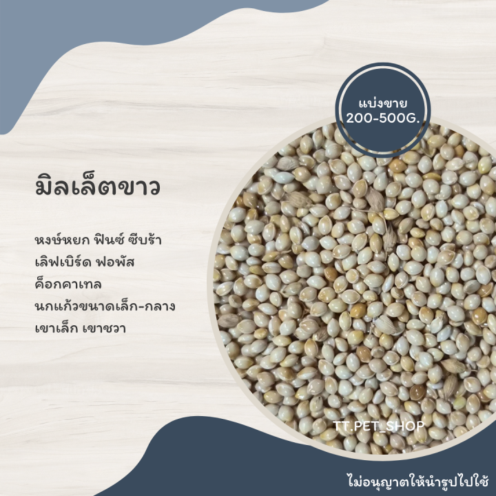 มิลเล็ต-แบ่งขาย-200-500g-อาหารนกขนาดเล็กทุกสายพันธุ์