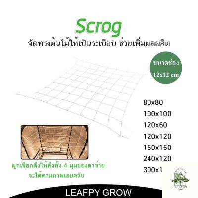 [ready stock]Scrog net diy ตาข่าย ปลูกต้นไม้  มี 8 ไซส์ 80×80 , 120x60 , 100×100 , 120×120 , 150×150 , 240x120, 300x150 เพิ่มผลผลิตมีบริการเก็บเงินปลายทาง