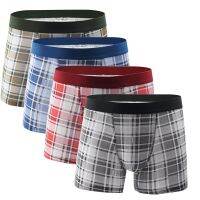 【CW】 Cotton Short Shorts Boxershorts