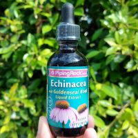 สารสกัดเอ็กไคนาเซีย โกลเด้นซีล ชนิดน้ำ Echinacea &amp; Goldenseal Liquid Extract - Alcohol Free 59 mL (PipingRock®) รากโกลเด้นซีล Piping Rock