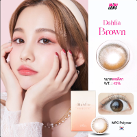 คอนแทคเลนส์ คอนแทคเลนส์รายเดือน Mini Lens รุ่น Dahlia Brown เลนส์น้ำตาลฟิลเตอร์ชายนิ่งสำหรับคนตาแห้ง วัสดุ MPC