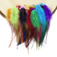 100Pcs Multicolor Rooster Feathers Crafts catcher Accessories Decoration 4-6 / 10-15cm