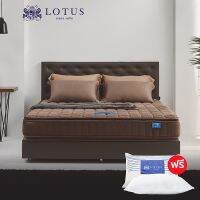 LOTUS รุ่น Precise II ที่นอนอัจฉริยะหนึ่งเดียวในโลก นอนได้ทั้ง 2 ด้าน โรงแรม 5 ดาว ทั่วเอเชียเลือกใช้ หนา 10 นิ้ว