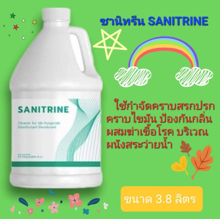 ซานิทรีน-sanitrine-กำจัดคราบสกปรก-คราบไขมัน-ป้องกันกลิ่น-ผสมฆ่าเชื้อโรค-บริเวณผนังสระว่ายน้ำ