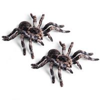 【CC】 2Pcs 9.5cm Large Fake Insect Fun Scary Prop